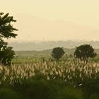 Abendstimmung am Ufer des Mekong