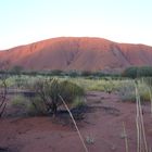 Abendstimmung am Uluru