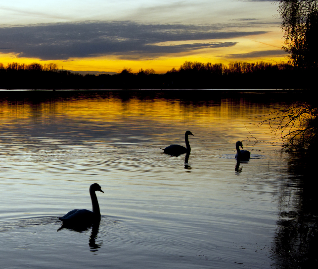 Abendstimmung am Unterbacher See