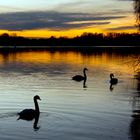 Abendstimmung am Unterbacher See