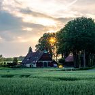 Abendstimmung am Venner Berg