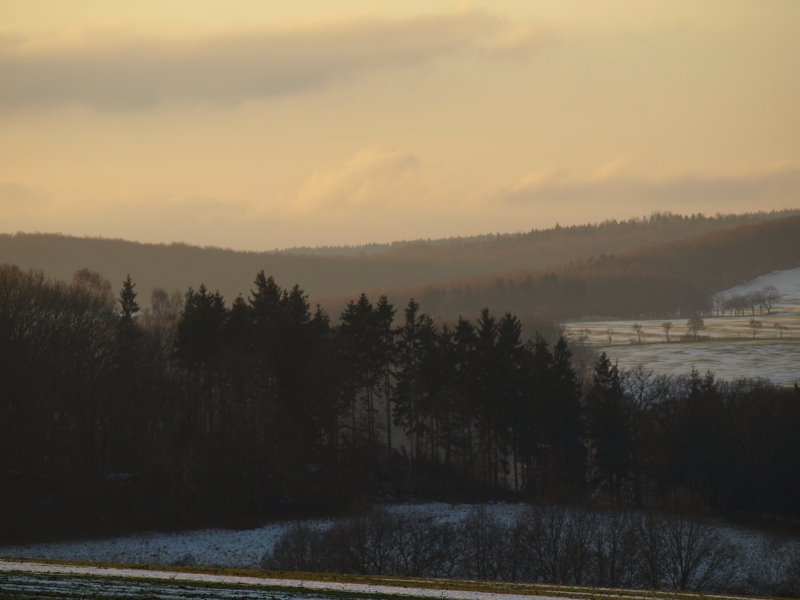 Abendstimmung am Wald