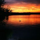 Abendstimmung am Wannsee