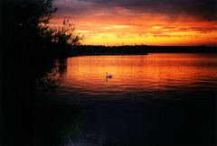 Abendstimmung am Wannsee