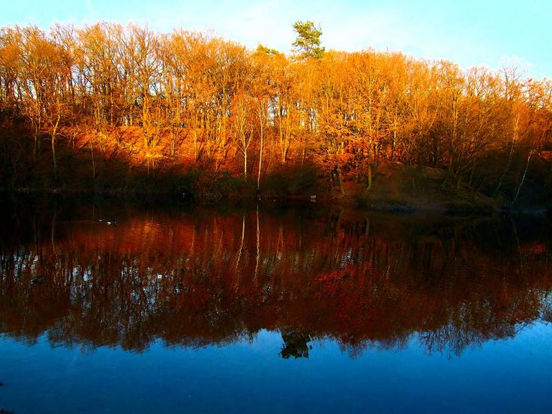 Abendstimmung am Wasser - 1