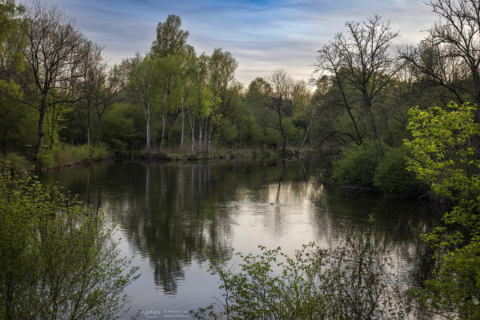 Abendstimmung am Wasser