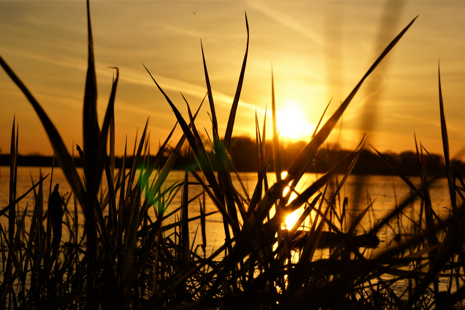 Abendstimmung am Wasser