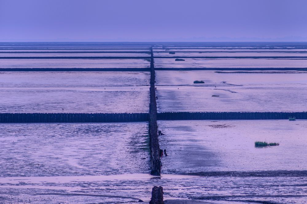 Abendstimmung am Wattenmeer 2, Nordfriesland