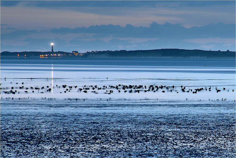 Abendstimmung am Wattenmeer