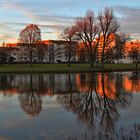 Abendstimmung am Weiher