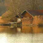 Abendstimmung am Weiher