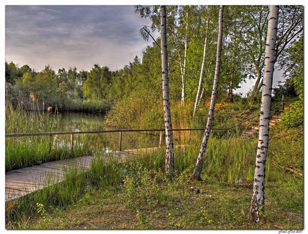 Abendstimmung am Weiher