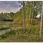 Abendstimmung am Weiher