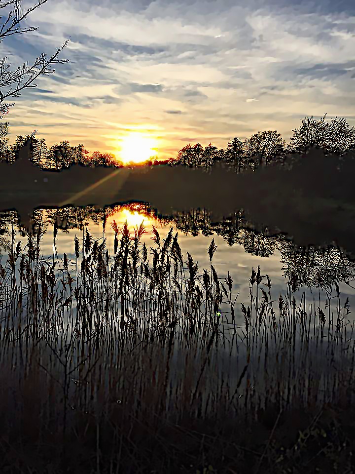 Abendstimmung am Weiher