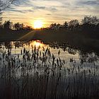 Abendstimmung am Weiher