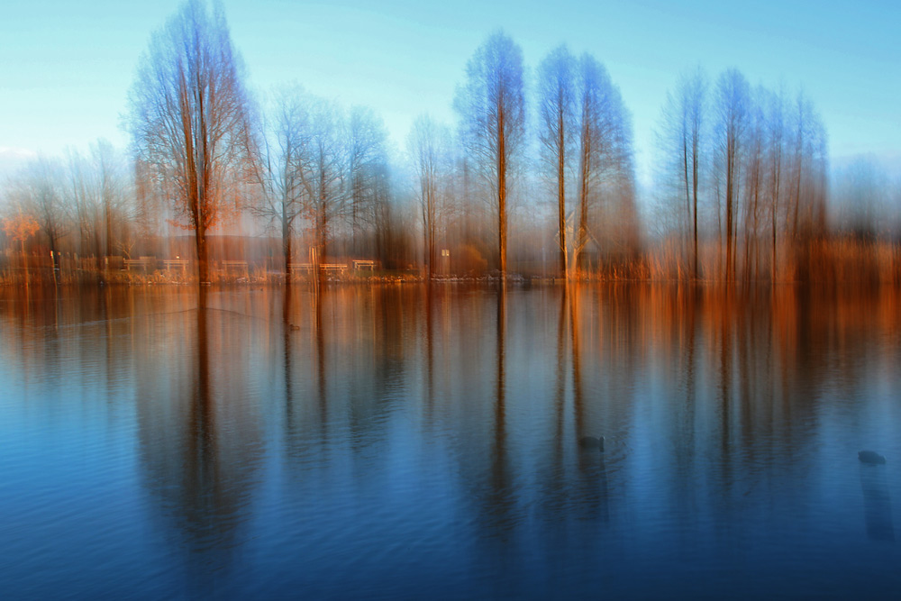 Abendstimmung am Weiher