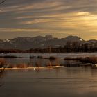 Abendstimmung am Weiher