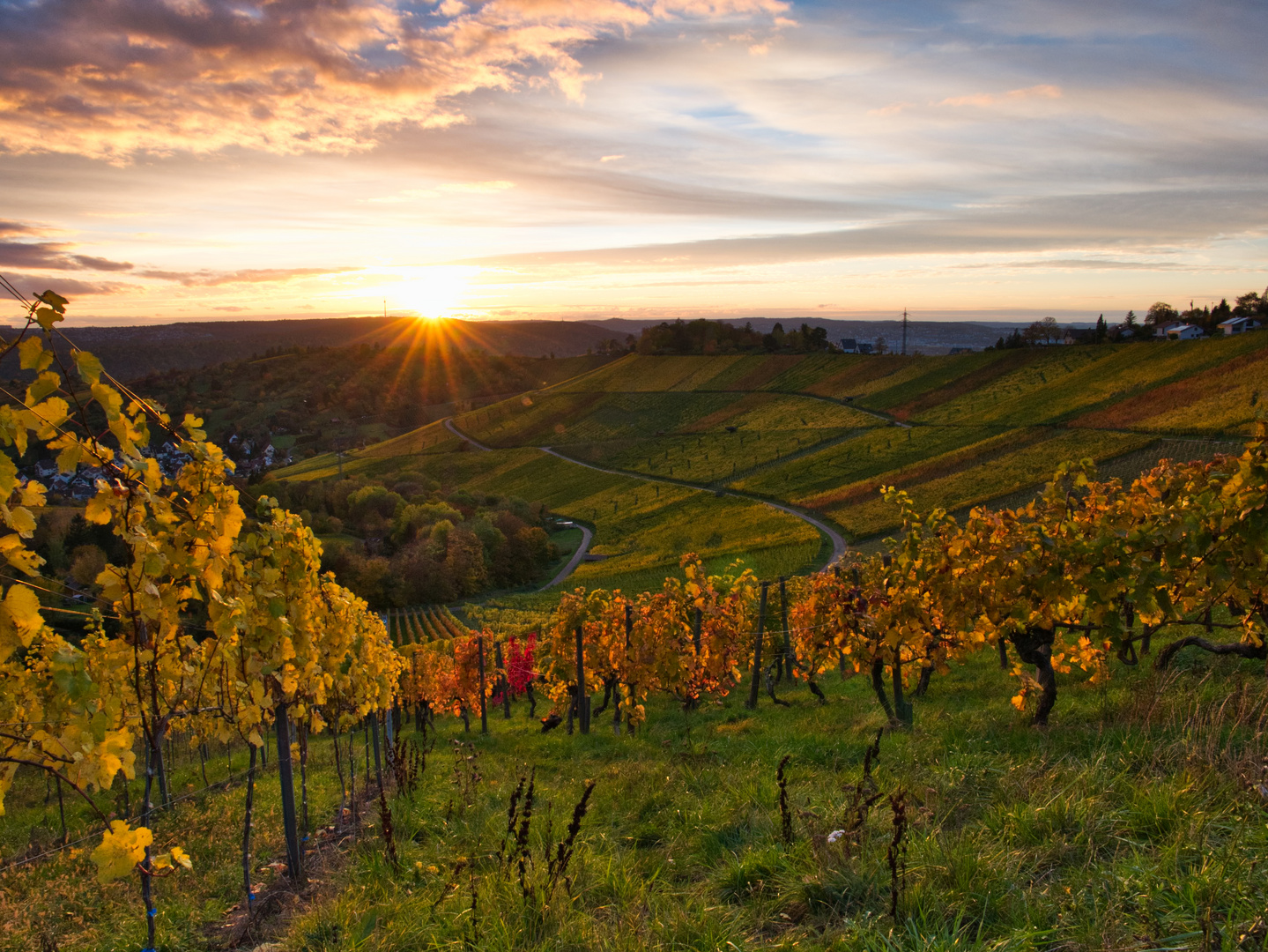 Abendstimmung am Weinberg