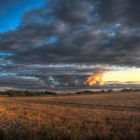 Abendstimmung am Weizenfeld