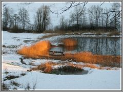 Abendstimmung am Wenigerweiher