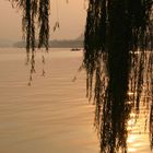 Abendstimmung am West Lake