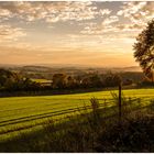 Abendstimmung am Wiehengebirge