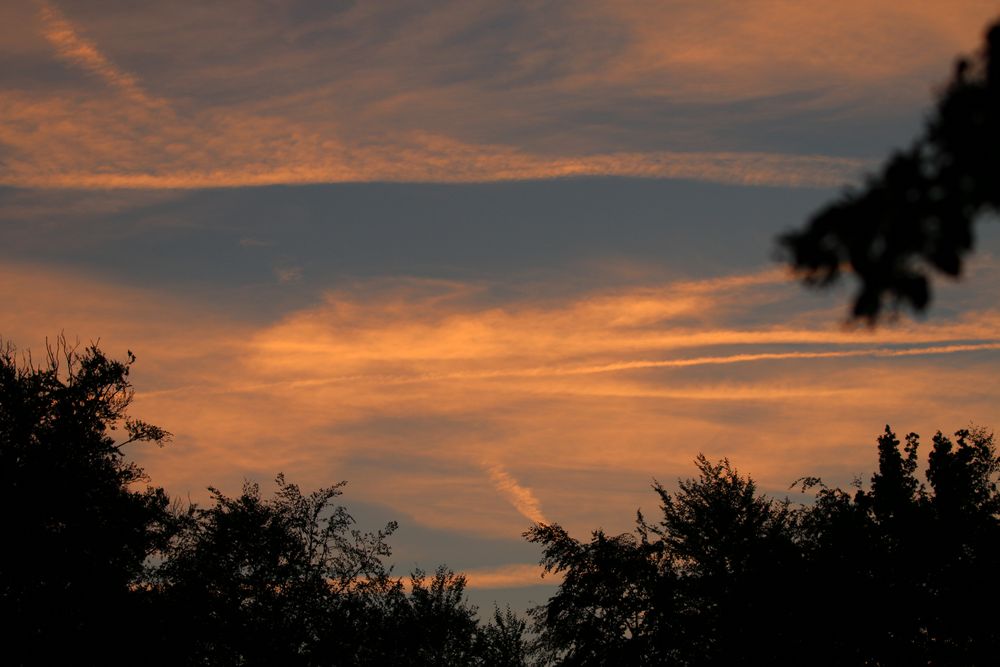 Abendstimmung am Wöhrsee