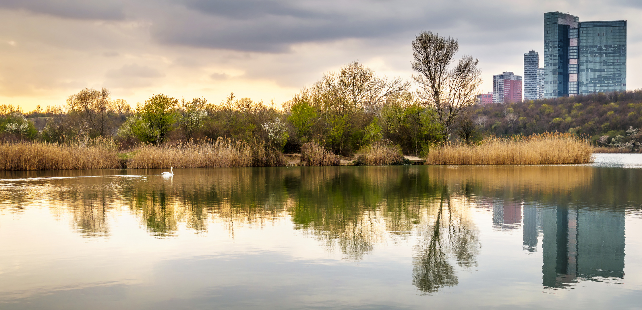 Abendstimmung am Ziegelteich