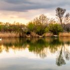 Abendstimmung am Ziegelteich