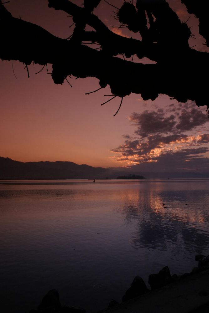 Abendstimmung am Zürichsee