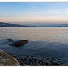 Abendstimmung am Zürichsee