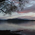 Abendstimmung am Zugersee