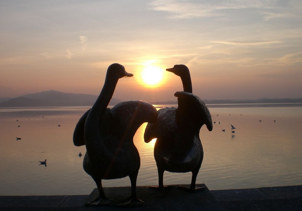 Abendstimmung am Zugersee by Martin.Metzger