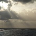 Abendstimmung an Borkums Nordküste I