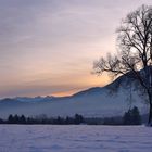 Abendstimmung an den Alpen 2