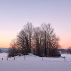 Abendstimmung an den Alpen 3