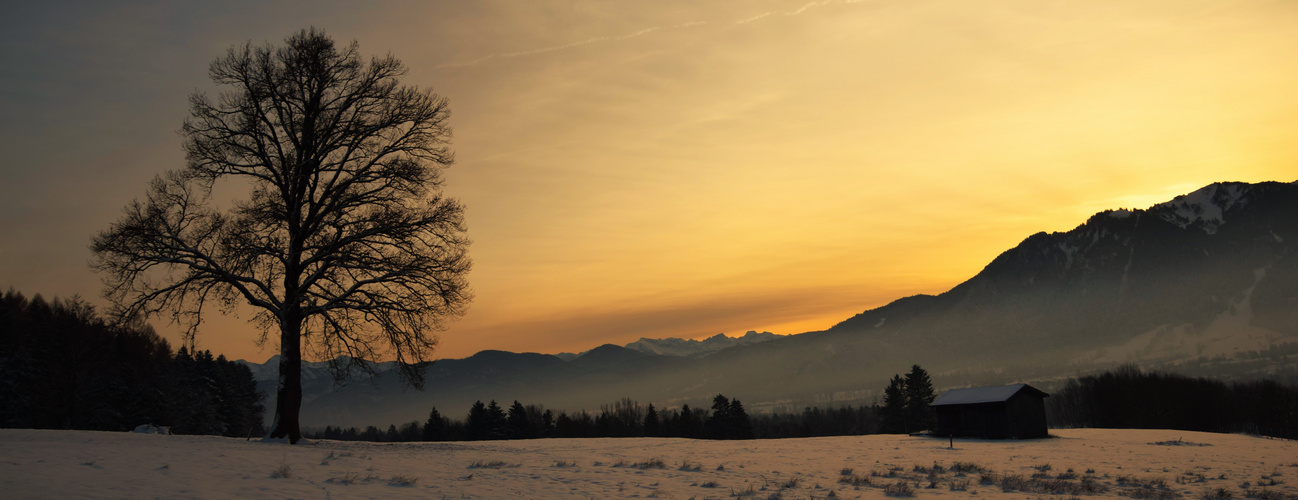 Abendstimmung an den Alpen 4