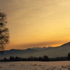 Abendstimmung an den Alpen 4