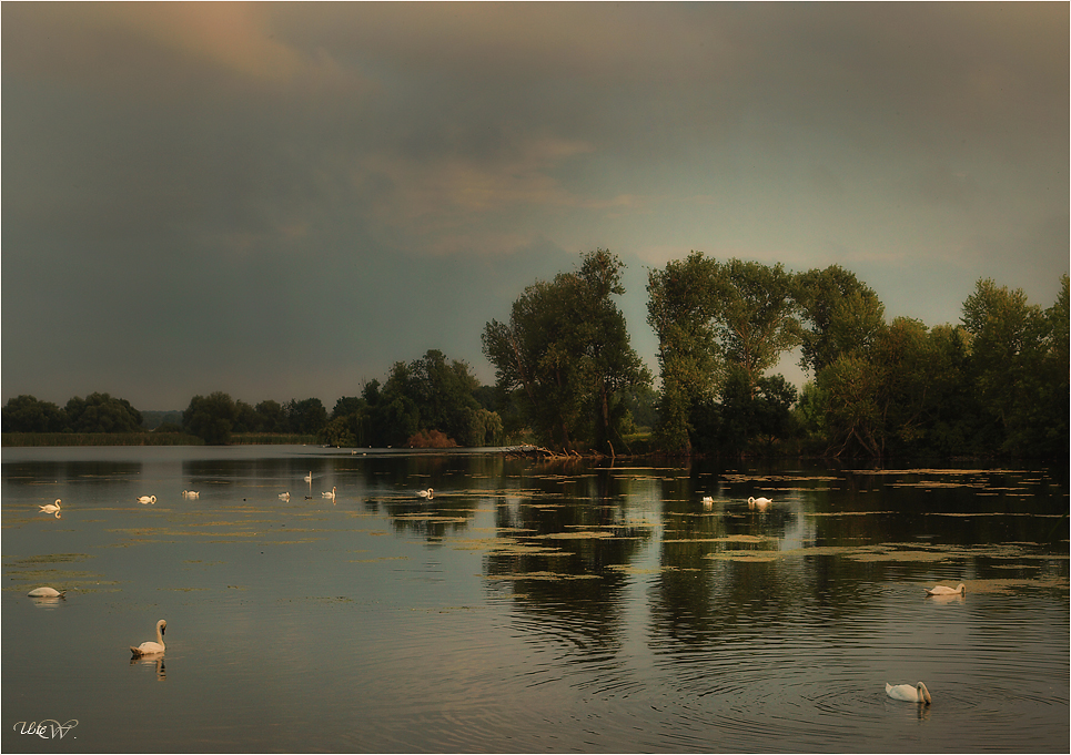 Abendstimmung an den Fischteichen