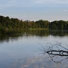 Abendstimmung an den Guttauer Teichen 