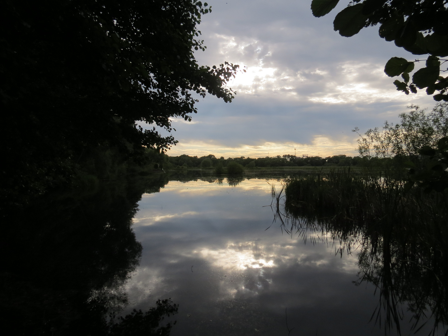 Abendstimmung an den Havelauen