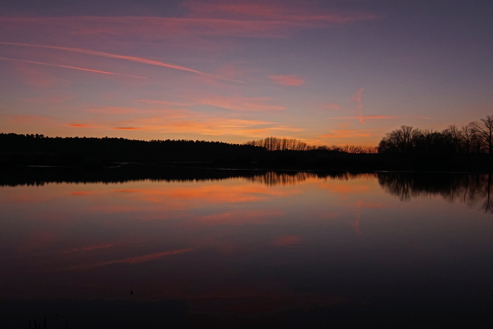 Abendstimmung an den Teichen