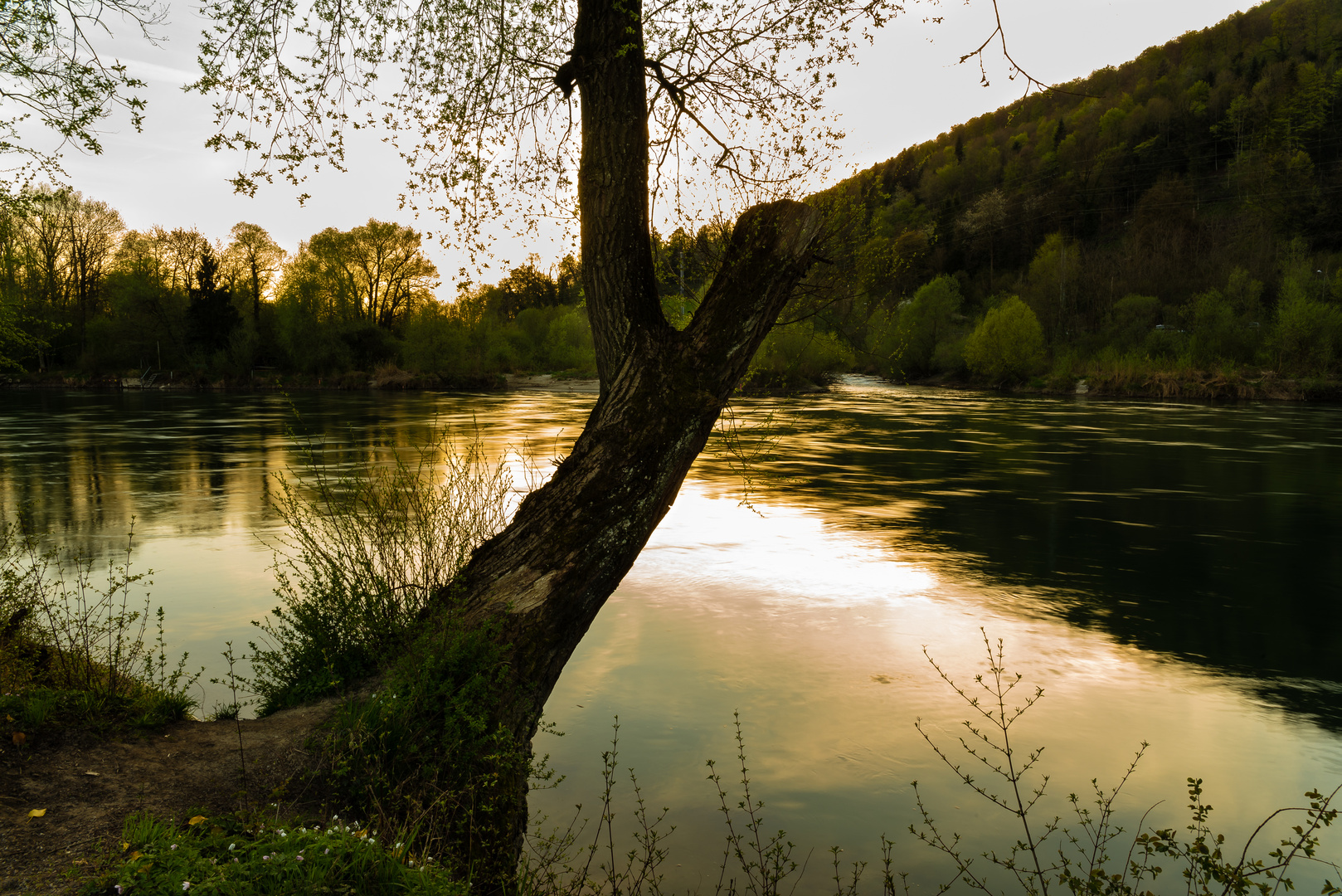 Abendstimmung an der Aare