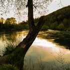 Abendstimmung an der Aare