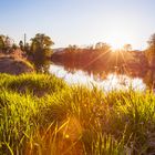 Abendstimmung an der Aare