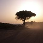 Abendstimmung an der Algarve