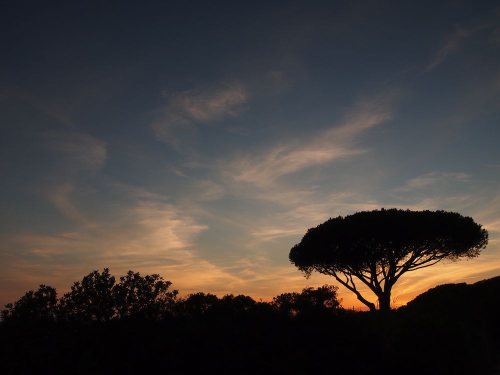 Abendstimmung an der Algarve