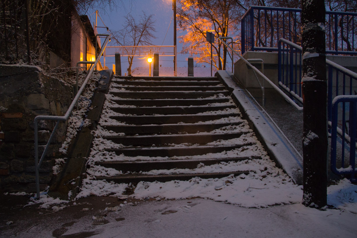 Abendstimmung an der Alten Donau