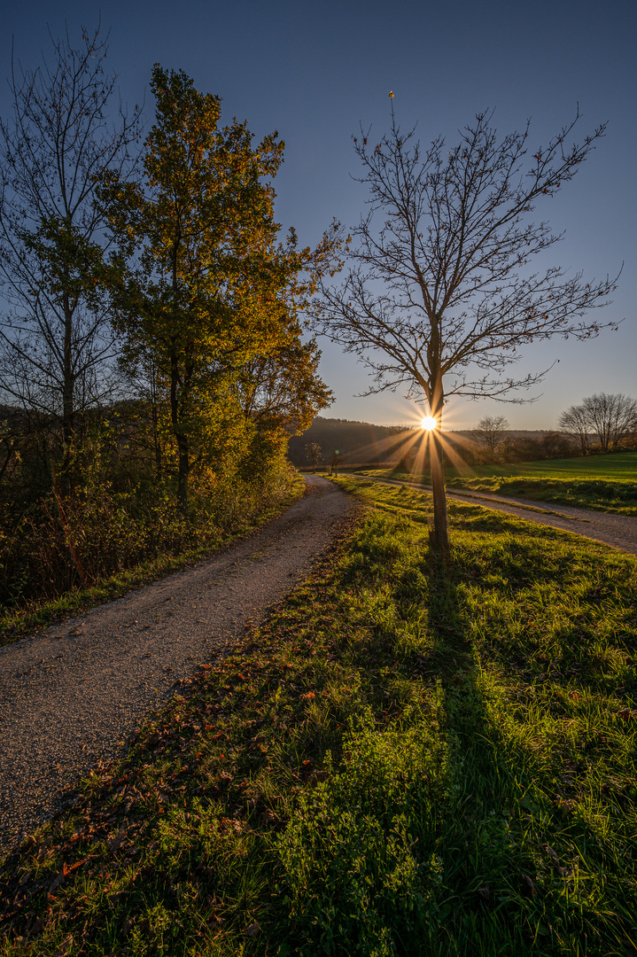 Abendstimmung an der Altmühl