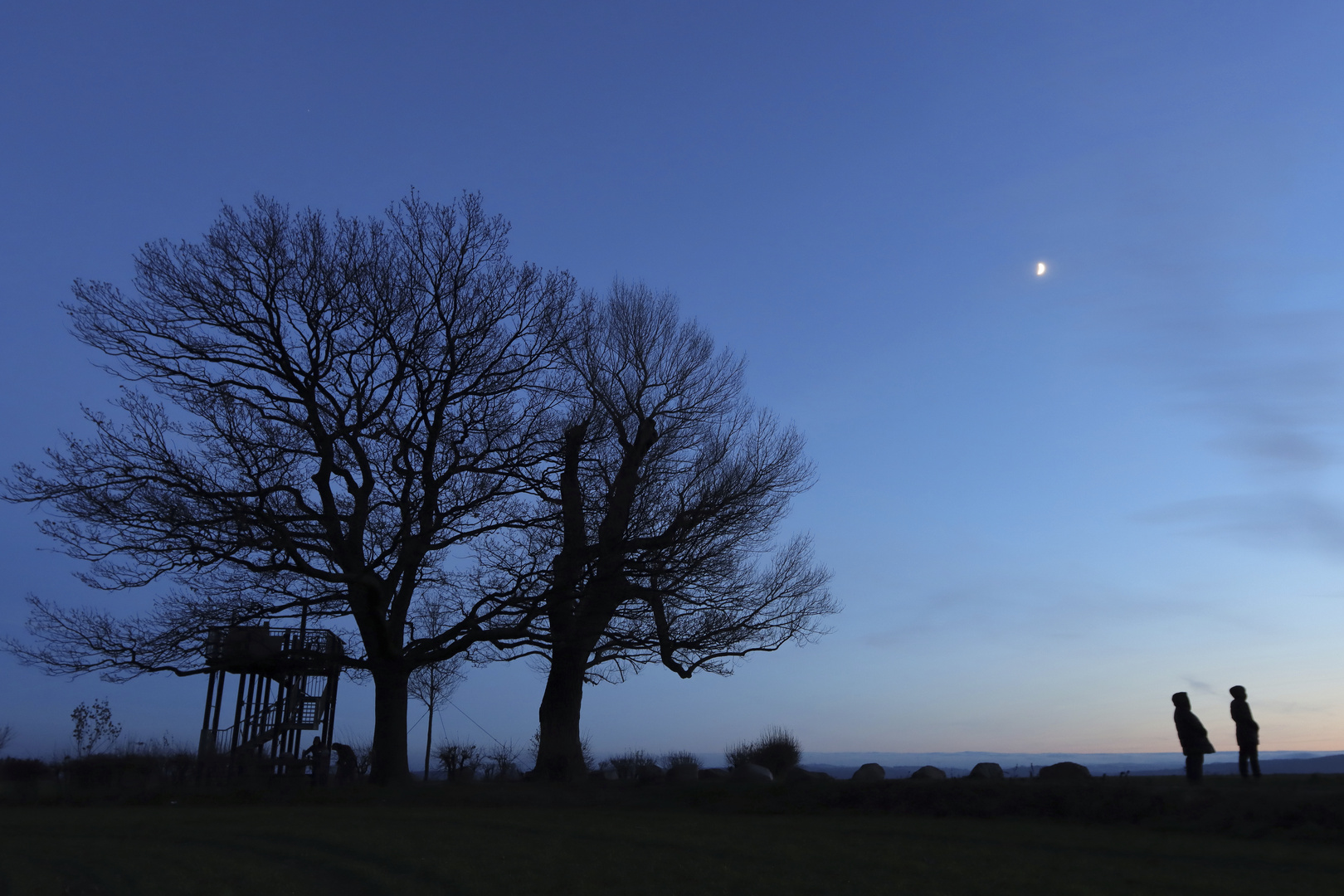 Abendstimmung an der Babisnauer Pappel